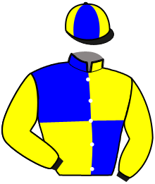 casaque portée par Peltier S. jockey du cheval de course MAELYS DES BORDES, information pmu ZETURF casaque portée par Peltier S. jockey du cheval de course MAELYS DES BORDES, information pmu ZETURF