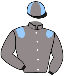 casaque portée par Jamard D. jockey du cheval de course MOLLY D'ACADIE, information pmu ZETURF casaque portée par Jamard D. jockey du cheval de course MOLLY D'ACADIE, information pmu ZETURF