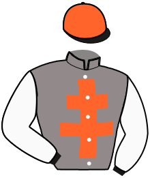 casaque portée par Peltier F. J. jockey du cheval de course MOGADOR DE LATZ, information pmu ZETURF casaque portée par Peltier F. J. jockey du cheval de course MOGADOR DE LATZ, information pmu ZETURF