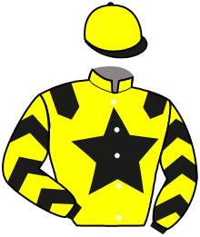 casaque portée par Bekaert D. jockey du cheval de course LAMOURA QUICK, information pmu ZETURF casaque portée par Bekaert D. jockey du cheval de course LAMOURA QUICK, information pmu ZETURF