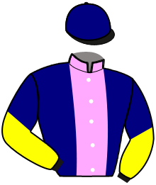 casaque portée par Cormy Martin jockey du cheval de course LIBERO DE LOU, information pmu ZETURF casaque portée par Cormy Martin jockey du cheval de course LIBERO DE LOU, information pmu ZETURF