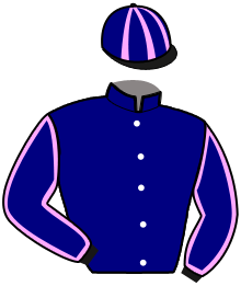 casaque portée par Bekaert D. jockey du cheval de course LOFTIE, information pmu ZETURF casaque portée par Bekaert D. jockey du cheval de course LOFTIE, information pmu ZETURF