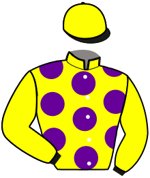 casaque portée par Tintillier A. jockey du cheval de course JANGO, information pmu ZETURF casaque portée par Tintillier A. jockey du cheval de course JANGO, information pmu ZETURF