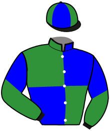casaque portée par Ruet B. jockey du cheval de course HARO DARCHE, information pmu ZETURF casaque portée par Ruet B. jockey du cheval de course HARO DARCHE, information pmu ZETURF
