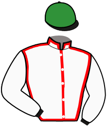 casaque portée par Tribolet Cal. jockey du cheval de course HAFCOCK, information pmu ZETURF casaque portée par Tribolet Cal. jockey du cheval de course HAFCOCK, information pmu ZETURF