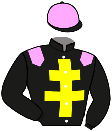 casaque portée par Devienne K. jockey du cheval de course INDY VET, information pmu ZETURF