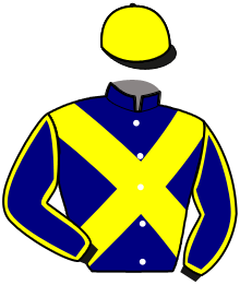 casaque portée par Cinier D. jockey du cheval de course HAMILTON ATOUT, information pmu ZETURF
