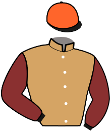 casaque portée par Chauve-laffay Q. jockey du cheval de course GAUDI TIT, information pmu ZETURF