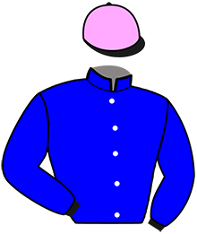 casaque portée par Ensch N. jockey du cheval de course KOUGAR DE SIMM, information pmu ZETURF