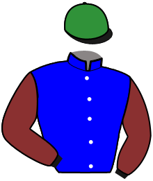 casaque portée par Stefano S. jockey du cheval de course LETOILE AMERICAINE, information pmu ZETURF