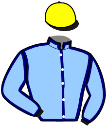 casaque portée par Gout Th. jockey du cheval de course GALAXY VAUCEENNE, information pmu ZETURF