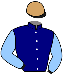 casaque portée par Puniere D. jockey du cheval de course NEMESIA SIBEY, information pmu ZETURF