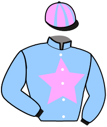 casaque portée par Lamy R. jockey du cheval de course JET SETTER D'AURCY, information pmu ZETURF