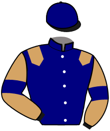 casaque portée par Ouvrie F. jockey du cheval de course JOUJO DES CINTY, information pmu ZETURF