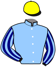 casaque portée par Nivard F. jockey du cheval de course KENTUCKY SAM, information pmu ZETURF casaque portée par Nivard F. jockey du cheval de course KENTUCKY SAM, information pmu ZETURF