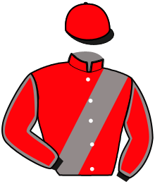 casaque portée par Junod G. jockey du cheval de course JULIENAS DE VRIE, information pmu ZETURF
