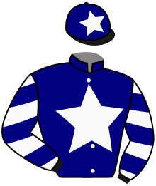 casaque portée par Sias Gio. jockey du cheval de course BRAMANTE, information pmu ZETURF casaque portée par Sias Gio. jockey du cheval de course BRAMANTE, information pmu ZETURF
