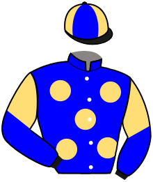 casaque portée par Cheyer Mme Per. jockey du cheval de course COMPOSITION, information pmu ZETURF