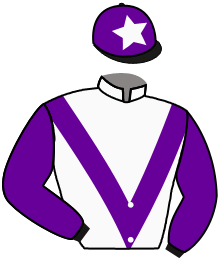 casaque portée par Nicoleau J. jockey du cheval de course ASKARI, information pmu ZETURF