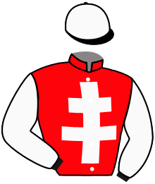 casaque portée par Boutin Hug. jockey du cheval de course GALLIUS, information pmu ZETURF