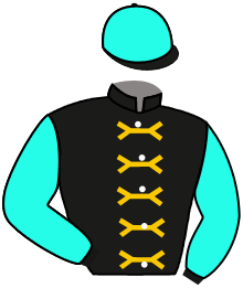 casaque portée par Madamet A. jockey du cheval de course ALPARSLAN, information pmu ZETURF