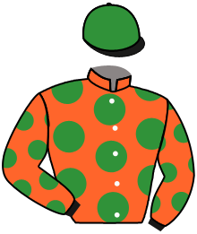 casaque portée par Hardouin E. jockey du cheval de course DROGO, information pmu ZETURF