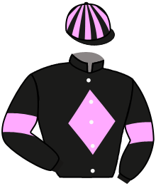 casaque portée par Breux D. jockey du cheval de course BIG BOOTS, information pmu ZETURF casaque portée par Breux D. jockey du cheval de course BIG BOOTS, information pmu ZETURF