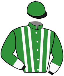 casaque portée par Dehens Mlle M. jockey du cheval de course ILLUMINATING, information pmu ZETURF casaque portée par Dehens Mlle M. jockey du cheval de course ILLUMINATING, information pmu ZETURF