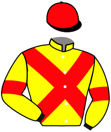 casaque portée par Hardouin E. jockey du cheval de course RUE MIA, information pmu ZETURF casaque portée par Hardouin E. jockey du cheval de course RUE MIA, information pmu ZETURF