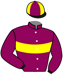 casaque portée par Roussel Leo jockey du cheval de course BID FOR CHESTER, information pmu ZETURF