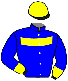 casaque portée par De Jesus Est. jockey du cheval de course MARCH OF THE QUEEN, information pmu ZETURF casaque portée par De Jesus Est. jockey du cheval de course MARCH OF THE QUEEN, information pmu ZETURF