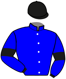 casaque portée par Ploquin Pau. Ph. jockey du cheval de course MARGARITA, information pmu ZETURF casaque portée par Ploquin Pau. Ph. jockey du cheval de course MARGARITA, information pmu ZETURF