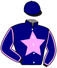 casaque portée par Delaunay Et. jockey du cheval de course HARRY DE SASSY, information pmu ZETURF