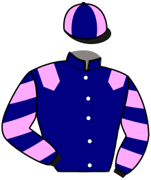casaque portée par Bonne D. jockey du cheval de course KAISER VRIE, information pmu ZETURF casaque portée par Bonne D. jockey du cheval de course KAISER VRIE, information pmu ZETURF