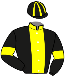 casaque portée par Desmigneux F. jockey du cheval de course LATINO PURA VIDA, information pmu ZETURF
