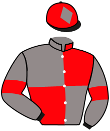 casaque portée par Mekouche Mlle A. jockey du cheval de course LINGOT D'ARGENT, information pmu ZETURF
