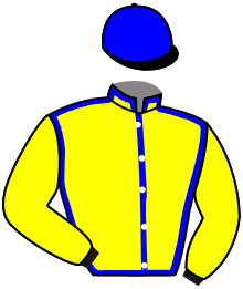 casaque portée par Chenet V. jockey du cheval de course KRIPTOGENE D'AYZA, information pmu ZETURF