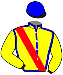 casaque portée par Plateaux J. jockey du cheval de course LASTROGENE D'AYZA, information pmu ZETURF