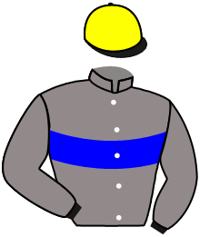 casaque portée par Le Quilleuc S. jockey du cheval de course REBINKA, information pmu ZETURF casaque portée par Le Quilleuc S. jockey du cheval de course REBINKA, information pmu ZETURF