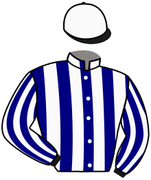 casaque portée par Forest M. jockey du cheval de course PORT GALLAND, information pmu ZETURF casaque portée par Forest M. jockey du cheval de course PORT GALLAND, information pmu ZETURF