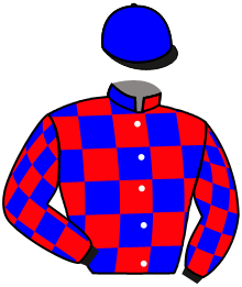 casaque portée par Paiva Lopes Bru. A. jockey du cheval de course KHAMALGANE, information pmu ZETURF casaque portée par Paiva Lopes Bru. A. jockey du cheval de course KHAMALGANE, information pmu ZETURF