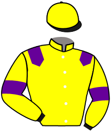 casaque portée par Mekouche Mlle A. jockey du cheval de course RISKY LIGHT, information pmu ZETURF casaque portée par Mekouche Mlle A. jockey du cheval de course RISKY LIGHT, information pmu ZETURF