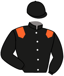 casaque portée par Guedj-gay G. jockey du cheval de course LORDRECORD, information pmu ZETURF