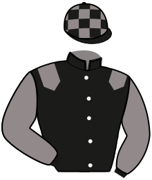 casaque portée par Tintillier A. jockey du cheval de course LEREVEUR D'HERIPRE, information pmu ZETURF
