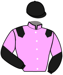casaque portée par Donabedian Mlle M. jockey du cheval de course ILLUSTRE JULRY, information pmu ZETURF casaque portée par Donabedian Mlle M. jockey du cheval de course ILLUSTRE JULRY, information pmu ZETURF