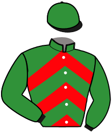 casaque portée par Raffin E. jockey du cheval de course MERRY DE MALABRY, information pmu ZETURF