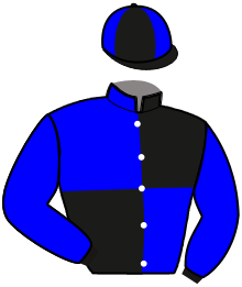 casaque portée par Abrivard A. jockey du cheval de course LEADER DE SEVRE, information pmu ZETURF