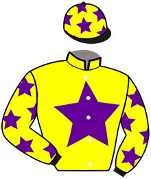 casaque portée par Raffin E. jockey du cheval de course HARISON DU PLESSIS, information pmu ZETURF casaque portée par Raffin E. jockey du cheval de course HARISON DU PLESSIS, information pmu ZETURF