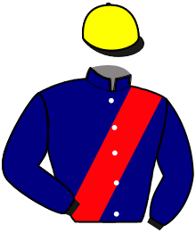 casaque portée par Marin G. jockey du cheval de course HUBBLE DU VIVIER, information pmu ZETURF