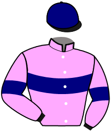 casaque portée par Tijou P. jockey du cheval de course IBIKI DE HOUELLE, information pmu ZETURF